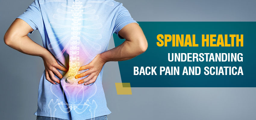 Spinal Health: Understanding Back Pain and Sciatica