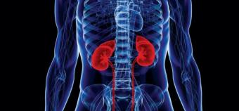 Kidney Disease - Symptoms and Prevention